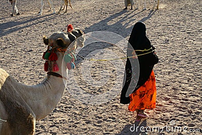 Arab woman with the camel Editorial Stock Photo