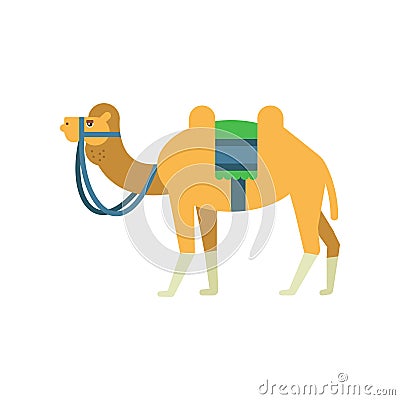 Arabian bactrian camel with colorful saddle between two humps. Cartoon character of desert animal. Symbol of Islamic Vector Illustration