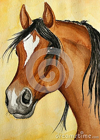 Arabian horse painting Stock Photo