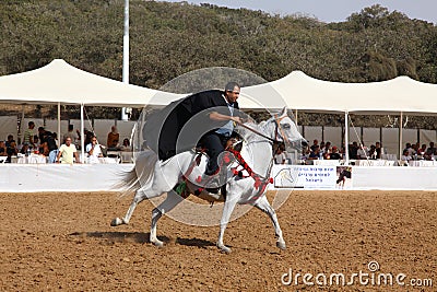 Arabian horse show and championship Editorial Stock Photo