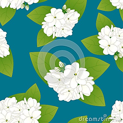 Arabian Jasmine on Indigo Blue Background. Vector Illustration Vector Illustration