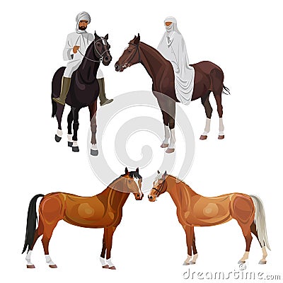 Arabian riders and horses Vector Illustration