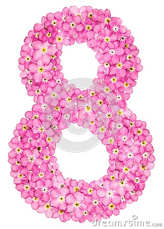 Arabic numeral 8, eight, from pink forget-me-not flowers, isolat Stock Photo