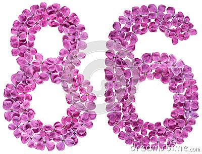 Arabic numeral 86, eighty six, from flowers of lilac, isolated o Stock Photo