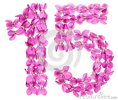 Arabic numeral 15, fifteen, from flowers of viola, isolated on w Stock Photo