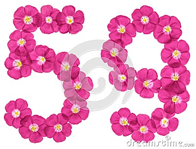 Arabic numeral 59, fifty nine, from pink flowers of flax, isolated on white background Stock Photo