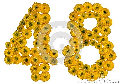 Arabic numeral 48, forty eight, from yellow flowers of buttercup Stock Photo
