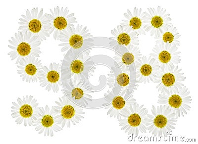 Arabic numeral 98, ninety eight, from white flowers of chamomile Stock Photo