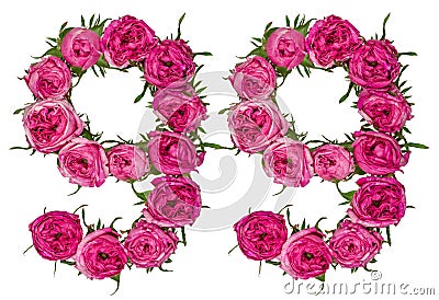 Arabic numeral 99, ninety nine, from red flowers of rose, isolated on white background Stock Photo