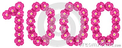 Arabic numeral 1000, one thousand, from pink flowers of flax, isolated on white background Stock Photo