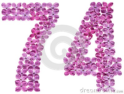 Arabic numeral 74, seventy four, from flowers of lilac, isolated Stock Photo