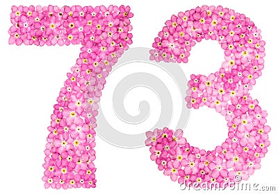 Arabic numeral 73, seventy three, from pink forget-me-not flower Stock Photo