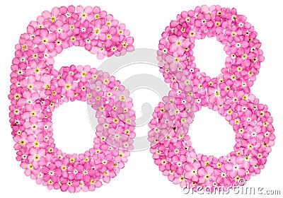 Arabic numeral 68, sixty eight, from pink forget-me-not flowers, Stock Photo