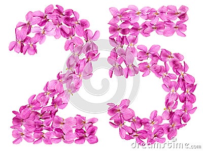 Arabic numeral 25, twenty five, from flowers of viola, isolated Stock Photo