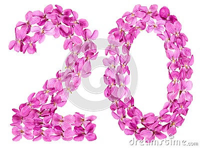 Arabic numeral 20, twenty, from flowers of viola, isolated on wh Stock Photo