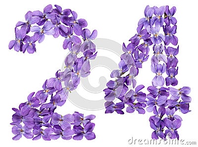 Arabic numeral 24, twenty four, from flowers of viola, isolated Stock Photo