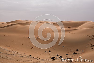 Arabic sand desert at Liwa, UAE Stock Photo