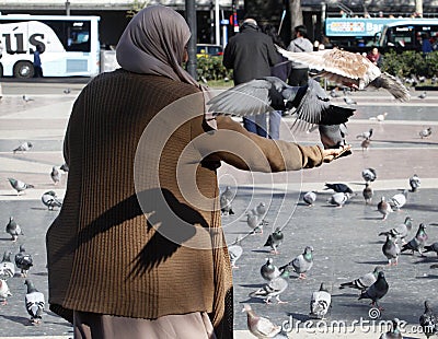 An arabic woman feeds pigeons in Catalonia square in Barcelona. Editorial Stock Photo