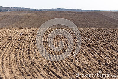 Arable field. Plowed agricultural arable land. Stock Photo