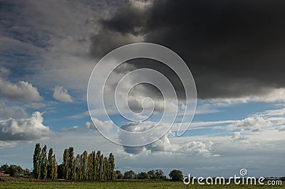 Arable field and poplars beneath a shower Stock Photo