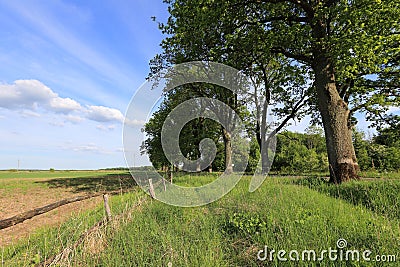 Arable land Stock Photo