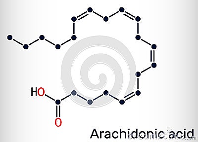 Arachidonic acid, AA, ARA molecule. It is unsaturated omega-6 fatty acid, is precursor in biosynthesis of prostaglandins, Vector Illustration
