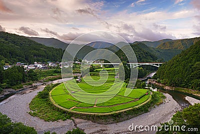 Aragijima rice terrace in Wakayama, Japan Stock Photo