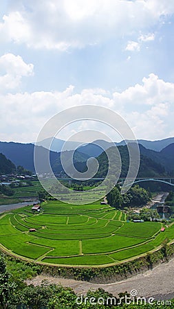 Aragijima Terraced Rice Field in Wakayama, Japan Stock Photo