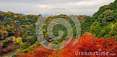 Arashiyama autumn view Stock Photo