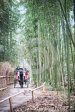 Arashiyama Bamboo Forest with Rickshaw and tourists. Editorial Stock Photo