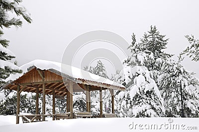 Arbor In Snowy Winter Forest Stock Photo