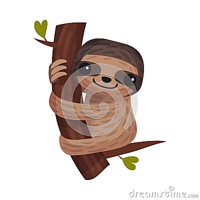 Arboreal Sloth Hugging Tree Branch as African Animal Vector Illustration Vector Illustration