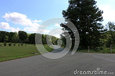 United States National Arboretum Editorial Stock Photo