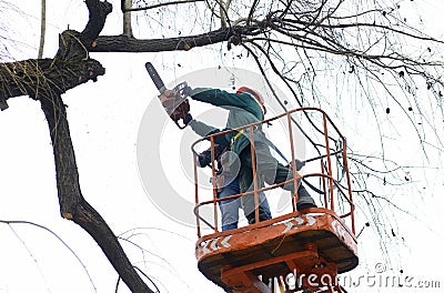 Arborists cut branches of a tree with chainsaw using truck-mounted lift. Kiev, Ukraine Stock Photo
