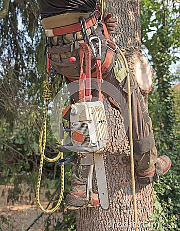 Arborists harness and tools Stock Photo