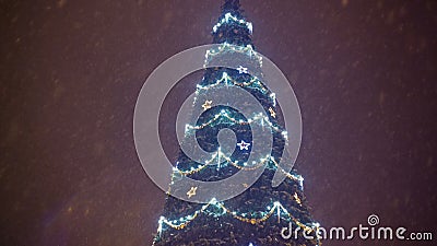 Arbre de Christmass avec la guirlande à la ville de soirée banque de vidéos Arbre de Christmass avec la guirlande à la ville de soirée banque de vidéos
