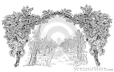 Arc from of grapevine with landscape of vineyard background. Hand drawn horizontal sketch vector illustration isolated on white Vector Illustration