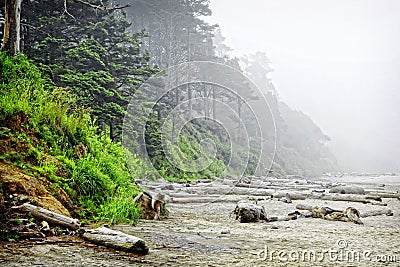 Arcadia Beach in Morning Fog Stock Photo