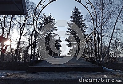 Arch of the bridge in the park among the pines Stock Photo