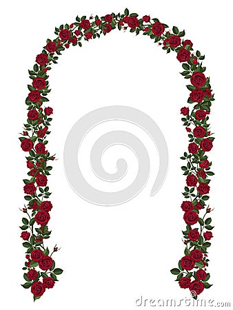 Arch of red climbing roses Vector Illustration