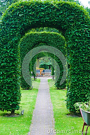 Arch of topiary Stock Photo