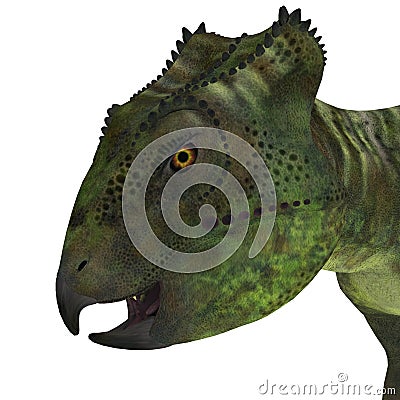 Archaeoceratops Dinosaur Head Stock Photo