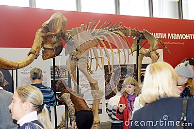 Archaeological exhibition. The skeleton of a mammoth. Moscow. Autumn Editorial Stock Photo