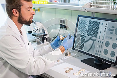 Archaeologist working in natural research lab. Laboratory assistant cleaning animal bones. Archaeology, zoology Stock Photo