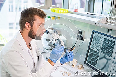Archaeologist working in natural research lab. Laboratory assistant cleaning animal bones. Archaeology, zoology Stock Photo