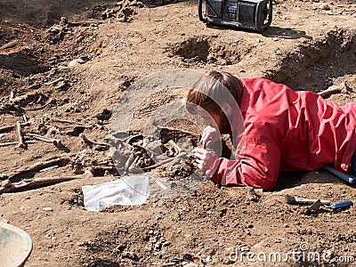 Archaeologists dig up human bones Editorial Stock Photo