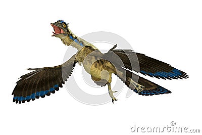 Jurassic Period Archaeopteryx Avian Dinosaur Stock Photo