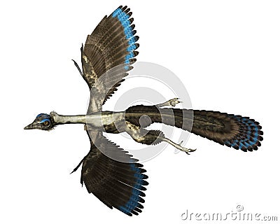 Archaeopteryx bird dinosaur flying - 3D render Stock Photo