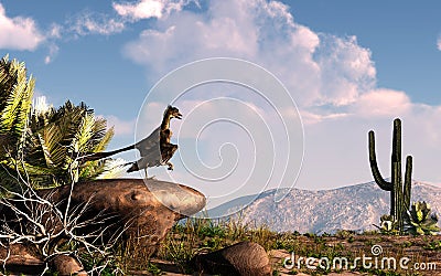 Archaeopteryx in a Desert Stock Photo