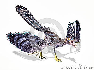 Archaeopteryx dinosaur isolated on white background Stock Photo